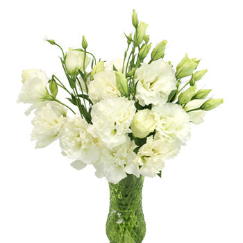 Alissa White Designer Lisianthus Wholesale Flower In a vase
