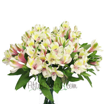 Pink Forest alstroemeria Wholesale Flower In a vase