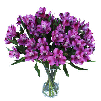 Purple alstroemeria Wholesale Flower In a vase
