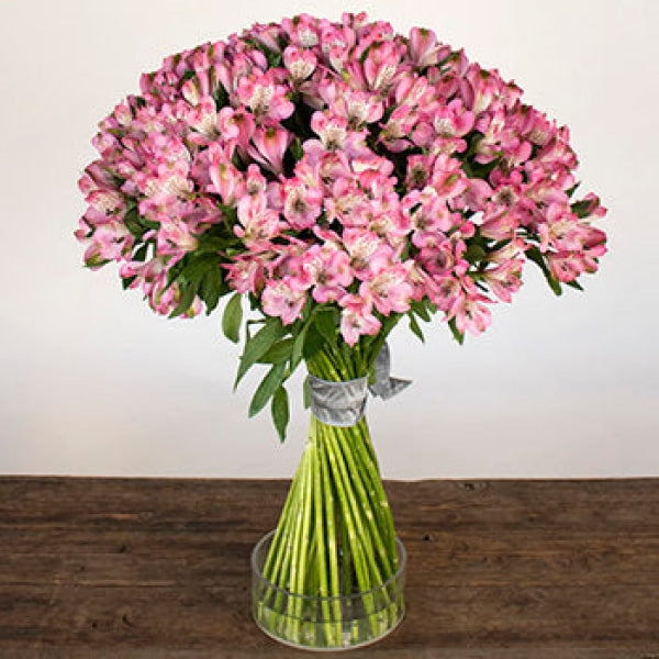 Spiral Alstroemeria Pink in a Vase