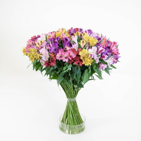 Spiral Alstroemeria Multicolor in a Vase