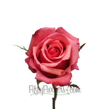 Antique Pink Murano Rose Stem
