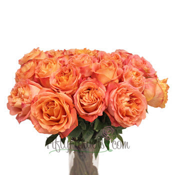 Apricot Blend Garden Wholesale Roses In a vase