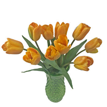 Apricot Fox Yellow Wholesale Flower In a vase
