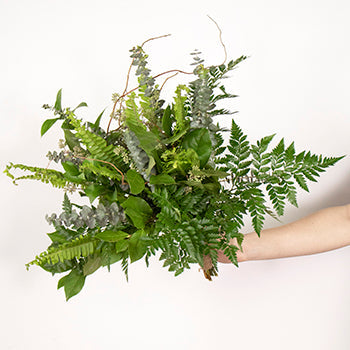 Forest Fern Bouquet and Boutonniere