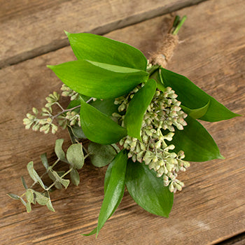 Forest Fern Bouquet and Boutonniere