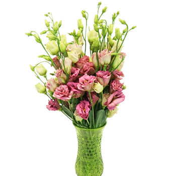 Dusty Rose Lisianthus Wholesale Flower