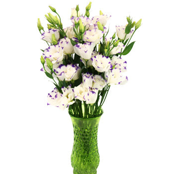 Purple Dot Lisianthus Wedding Flower