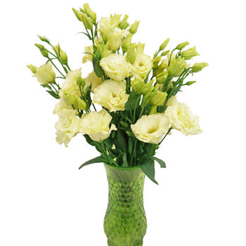 Arena Gold Yellow Lisianthus Wholesale Flower In a vase