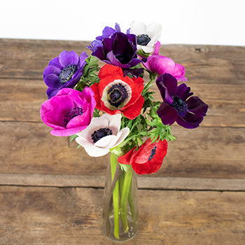 Farm Mix Fresh Cut Anemone Flower