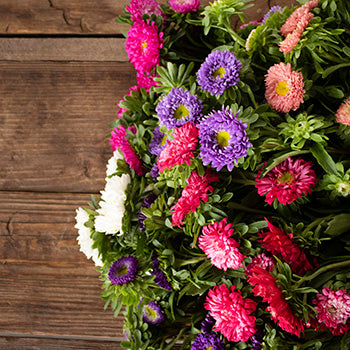 Farm Mix Matsumoto Flowers