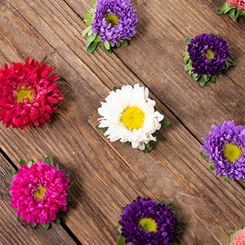 Farm Mix Matsumoto Flowers