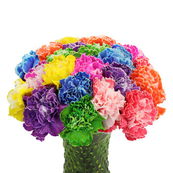 Assorted Dyed Farm Mix Carnation Flowers In a vase