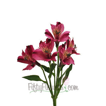Balance Purpleberry alstroemeria Wholesale Flower Stem