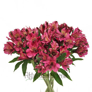 Balance Purpleberry alstroemeria Wholesale Flower In a vase