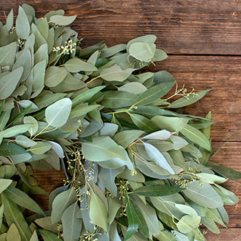 Prime Day Bay Leaf and Seeded Eucalyptus Wreath