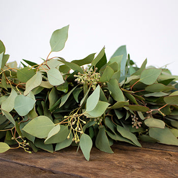 Prime Day Bay Leaf and Seeded Eucalyptus Wreath