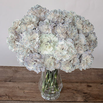 Industrial Blue Carnation Wholesale Flowers