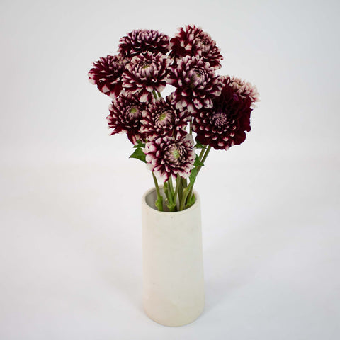Bicolor Red and White Dahlia Flower Bunch in Vase
