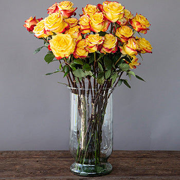 Yellow Roses<waiA_:B ixxxB9b&{e9
