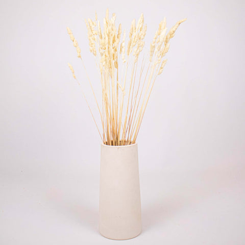Bleached Dried Orchad Flower Bunch in Vase