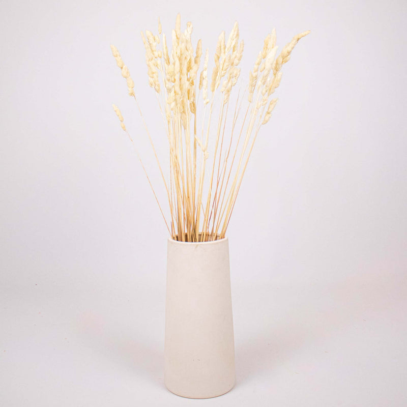 Bleached Dried Orchad Flower Bunch in Vase
