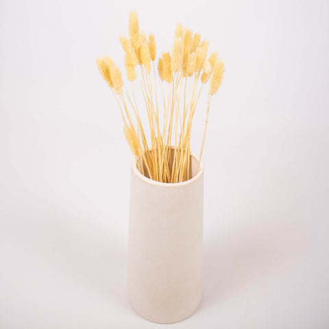 Bleached Dried Phalaris Flower Bunch in Vase