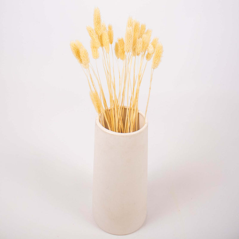 Bleached Dried Phalaris Flower Bunch in Vase