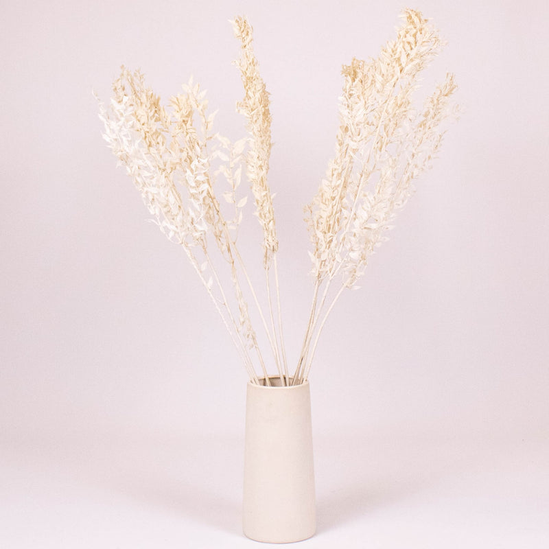 Bleached Dried Italian Ruscus Greenery in Vase