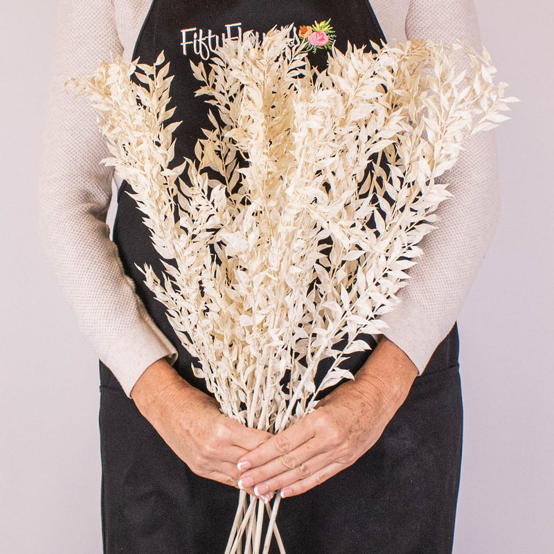 Bleached Dried Italian Ruscus Greenery in Hand