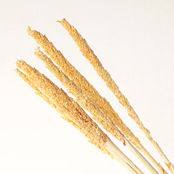 Bleached Gorso Rustic Dried Grass