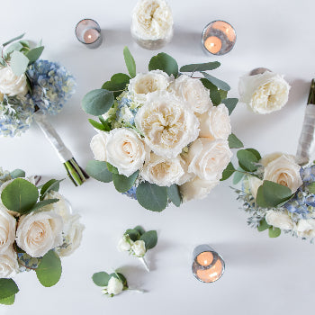 Seaside Wedding Collection