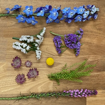 Save the Ecuadorian Wild Flowers DIY Combo Box
