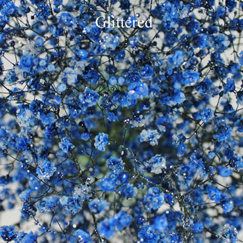 Blue Baby's Breath Flower