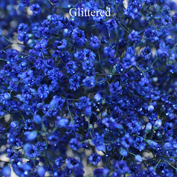 Royal Blue Airbrushed Baby's Breath