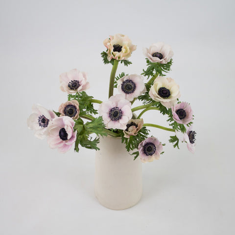 Blush Anemone Flower Bunch in Vase