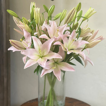 Classic Mothers Day Lillies