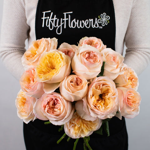 Blush and Peach Garden Rose Flower Bunch in Hand