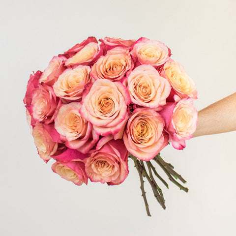 Bogart Sunset Rose Bunch in a Hand