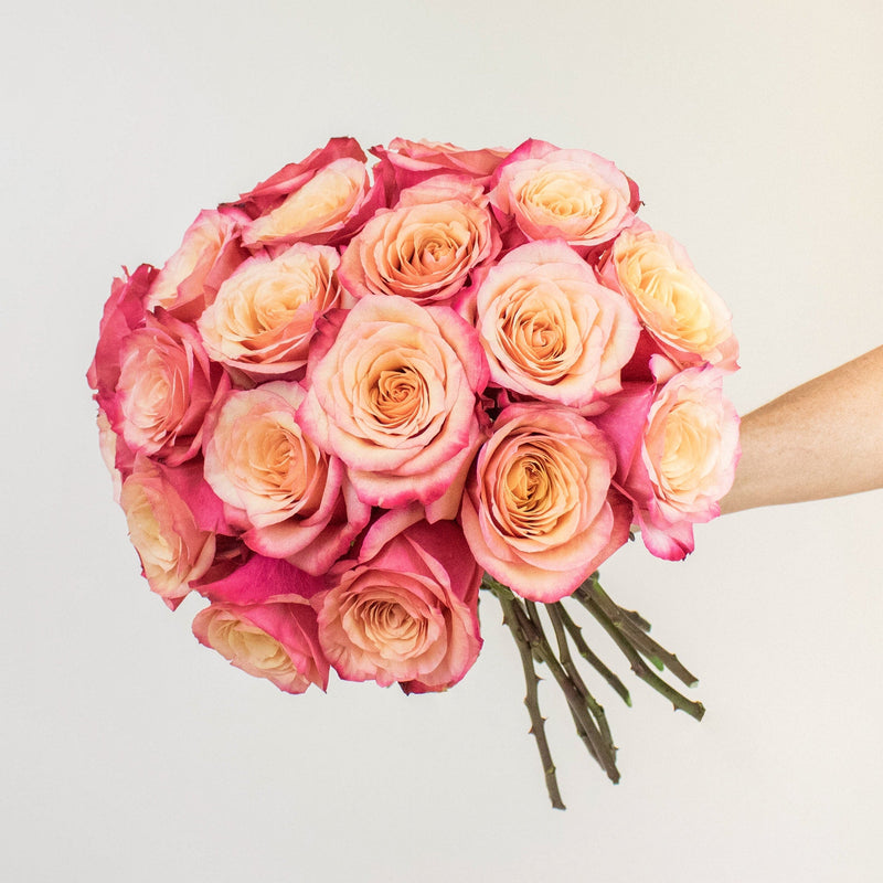 Bogart Sunset Rose Bunch in a Hand