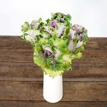 Ruffled Rose Kale Flower