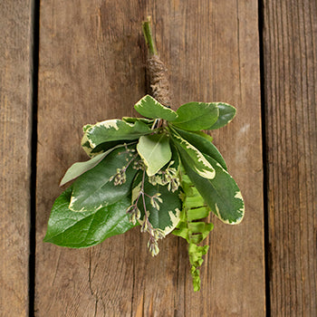 Waves of Love Tropical Greenery Bouquet and Boutonniere