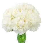 Bowl of Cream Peony in a vase
