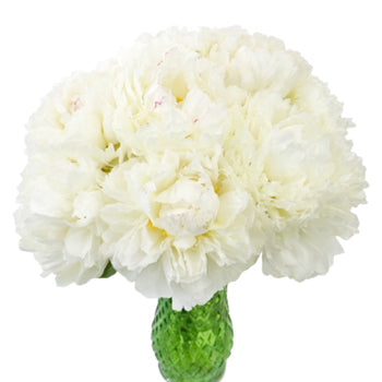Bowl of Cream Peonies for May Delivery