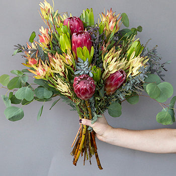 Brenda Creamy Peach Tropical Wholesale DIY Flower Kit In a Hand