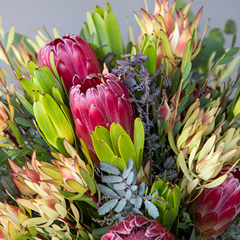 Brenda Creamy Peach Tropical DIY Flower Kit Bunch