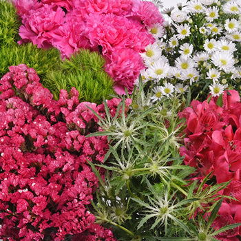 Bright Pink Textured Filler DIY Flower Kit Up Close