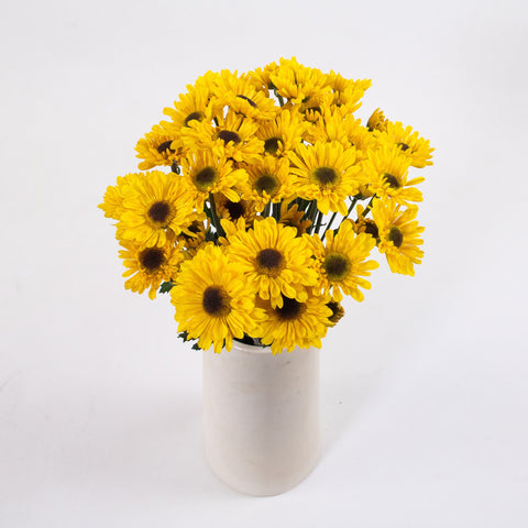 Bright Yellow Novelty Viking Pom Flower