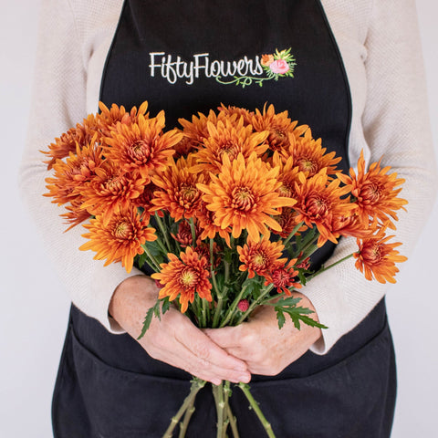 Bronze Coruna PomPom Flowers in Hands