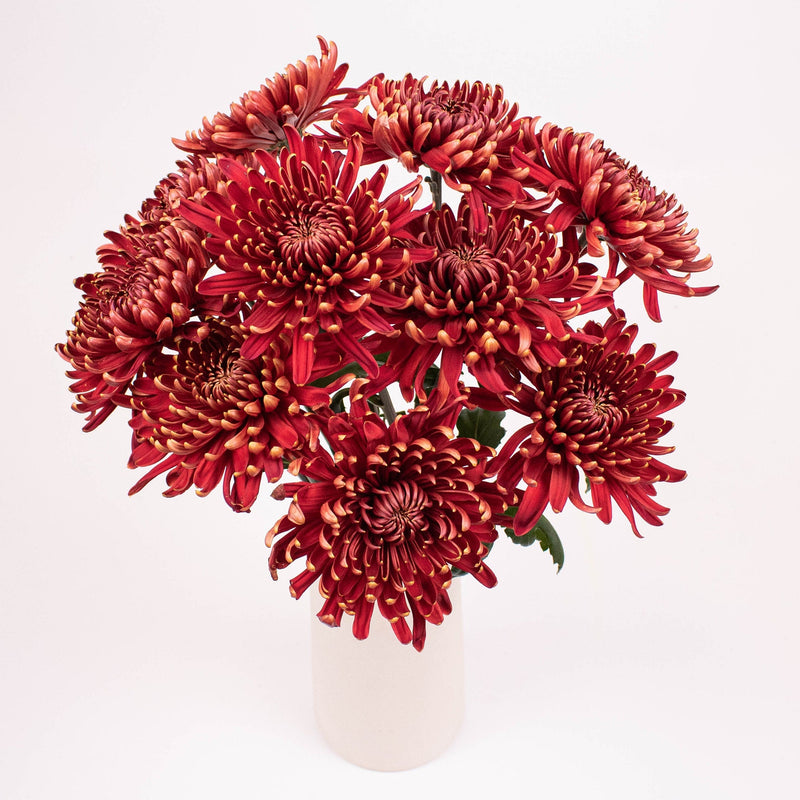 Desna Bronze Cremon Flowers in Vase
